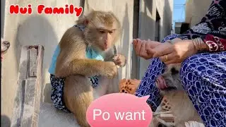 Nui Family | One working day of Nui's family