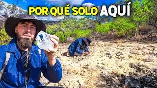 Miles de cuarzos con forma de “DIAMANTE” 💎 aparecen en un cerro de Jalisco!