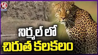 Leopard Incident Creates Havoc In Nirmal | V6 News