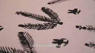 Stewart Hoosan - Wattle Tree, Honey Bird and Curlew