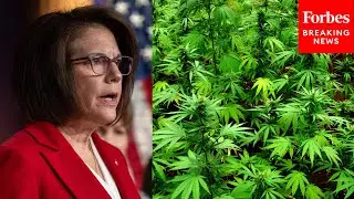 Cortez Masto Asks Expert About Need For Specific Cannabis Banking Legislation Amid Reclassification