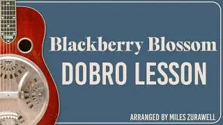 BLACKBERRY BLOSSOM Dobro Lesson - Miles Zurawell