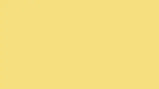Mellow Yellow Color Screen (live 01-02-2020)