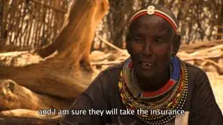 Index based livestock insurance (IBLI)