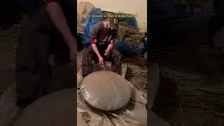 Hash production in Ketama #ketama #hasj #hashish #chefchaouen #morocco #documentary  #chefchaouen