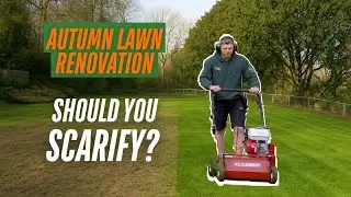 Autumn Lawn Care Tips | Should You Scarify Your Lawn?