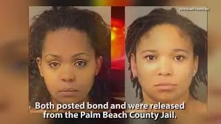 Two Arrested After Video Captures Fight At Florida Restaurant