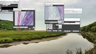 Exporting a Series of Images in Micro Manager with Jenoptik Microscope Camera