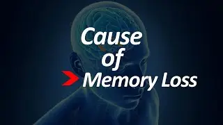 Causes of Memory Loss | Brain Health