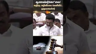 TN Assembly | CM MK Stalin Speech | Honour Killing Special Law | Sun News