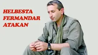Atakan Mahir: Zimanê Dilê Min (Kalbimin Dili)- Helbestên Kurdî(En Güzel Kürtçe Şiirler) #atakanmahir