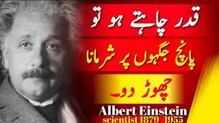 The Mind Of Einstein: Most Famous Quotes, Don't Be Shy At 5 Situations in Urdu Hindi| Talha voice