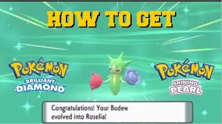 HOW TO EVOLVE BUDEW INTO ROSELIA IN POKEMON BRILLIANT DIAMOND AND SHINING PEARL