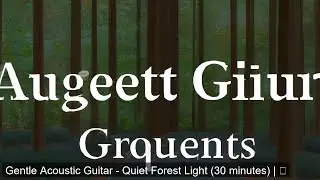 Gentle Acoustic Guitar - Quiet Forest Light (30 minutes) | ジェントル・アコースティックギター - 静かな森の木漏れ日（30分）