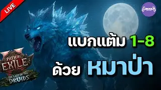 หมาป่าน้ำแข็ง แบกแต้ม 1-8 เริ่มต้น จ่าย 1ex !!!