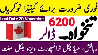 Software developer jobs in Canada with visa Sponsorship 2023 | Free visa jobs in Canada