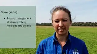 Spray Grazing - turning weeds into feed and lessons learnt.