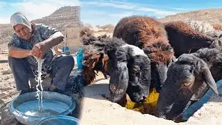 Documentary the hardships of rural life-the challenges of a day in a remote village