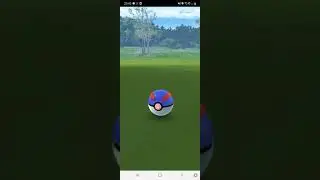 Catching Sewaddle in Pokemon Go