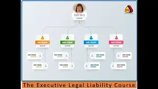 Executive Legal Liability course content