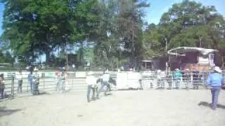 cody hutson bull ride