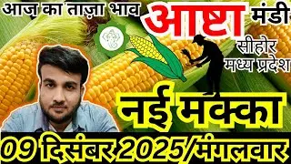 🌽नई मक्का मंडी भाव आज | 9 दिसम्बर 2025 | Ashta Mandi Makka Rate | Sandeep Nagar