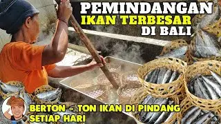 PUSAT PEMINDANGAN IKAN TERBESAR DI BALI - SENTRA PEMINDANGAN DESA KUSAMBA