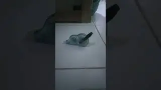 tipek tronndol knalpot v-5 bos