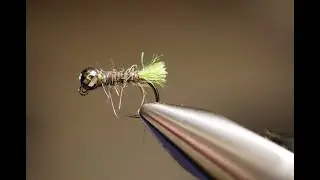Peeking Grannom Caddis