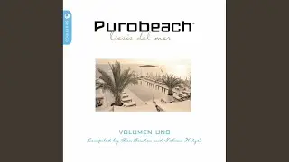 Purobeach, Vol. 1 (Digital Version) (Continuous DJ Mix)
