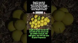 #curiositycorner #informative #jankarivideo #knowledge
