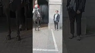 MR TOURIST PLEASE DO YOU WANT TO TALK OR ASK THE KING'S GUARD SOMETHING?#horse#mrbeast #royalcourt