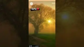 Asi punjab de jaye #punjab #lovepunjab