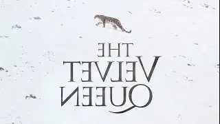 The Velvet Queen - Official Trailer... IN REVERSE!