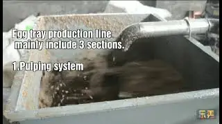 4000pcs per hour pulp molding paper tray production line