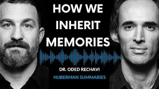 Summary of Dr. Oded Rechavi: Genes & the Inheritance of Memories Across Generations