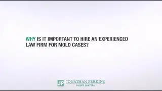 Why is it important to hire an experienced law firm for mold cases?