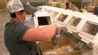 We're Open -- Cane River Pecans