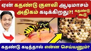 கதண்டு குளவி கடித்து ஏன் இறக்கிறார்கள்? என்ன மருந்து? yellow wasp insect bite survival guide?