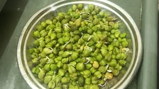 Hari# chana#ki#sabji# ki#cooking#  recipe 👌