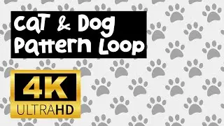 Free 4K Cat & Dog Pattern Loop Background | Cute Paw Print & Fishbone #cat #dog #paw #cute