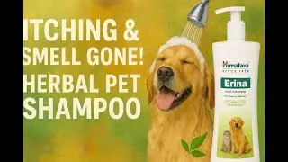 Pet Dandruff? Itching? Bad Odor? Himalaya Erina Shampoo Works!&rdquo;