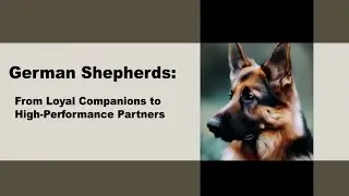 German Shepherds:  From Loyal Companions to High Performance Partners