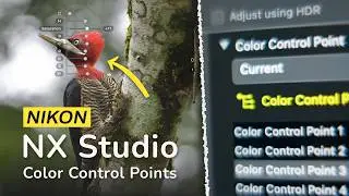 Easy Local Editing: Color Control Points in Nikon NX Studio (Free Editor)