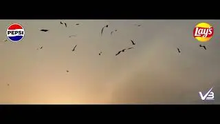 Varun Beverages Zimbabwe wishes everyone a Happy Africa day.