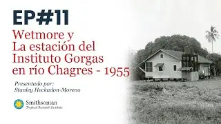 11 Alexander Wetmore en Panamá: 1955 - Instituto Gorgas