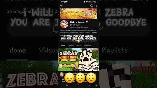 Goodbye @MrZebraGamer