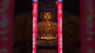 Первое куда пойти в Шанхае  https://www.instagram.com/cckillem?igsh=NnY0c3NtMWNrNDRv