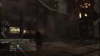 Team Deathmatch -- Tomb Raider