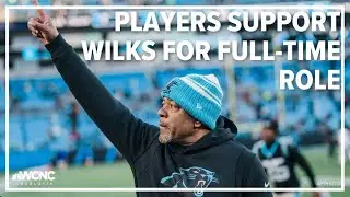 Panthers players support Steve Wilks for full-time role